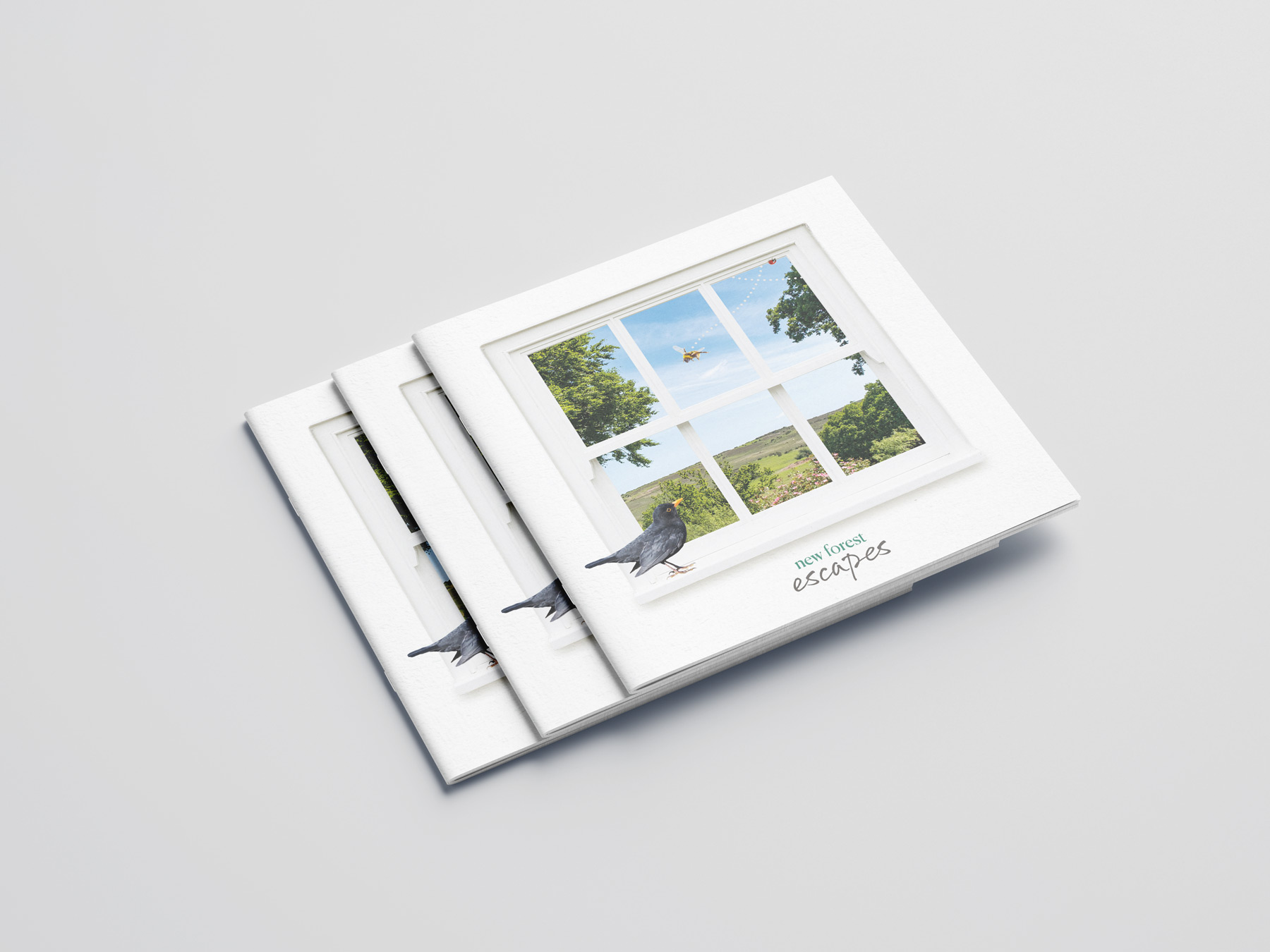 New Forest Escapes